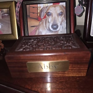 Karen added a photo of their purchase