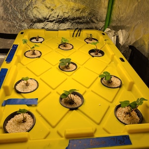 Ethan added a photo of their purchase