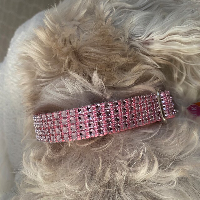 Female dog collars with bling top