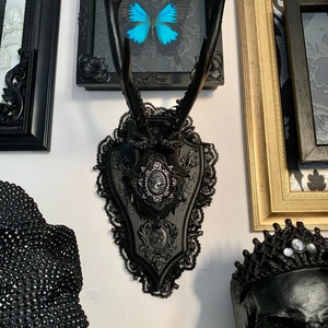 Lisa added a photo of their purchase