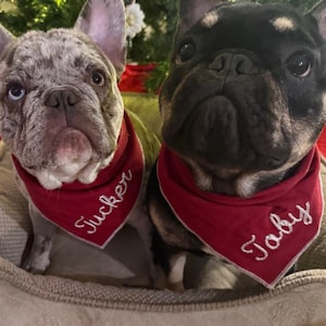 Tammy added a photo of their purchase