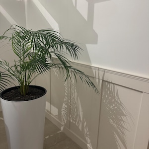 Lisa a ajouté une photo de son achat