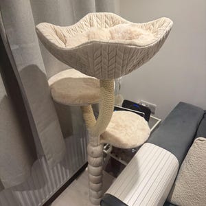 Shelley added a photo of their purchase