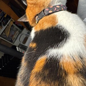 Nancy ha aggiunto una foto del proprio acquisto