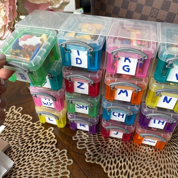 Insect Sorting Activity Worksheet Bug Sorting Print Play