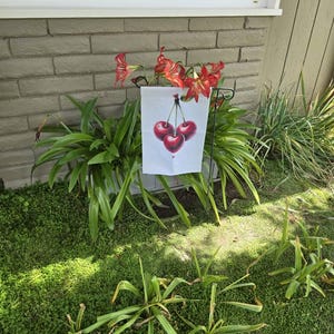 Susan added a photo of their purchase