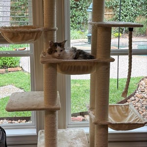Kimberly added a photo of their purchase