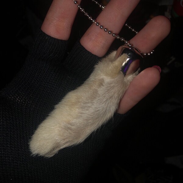 Rabbit Foot Keychain - Sustainably Sourced - Hind Foot - Etsy