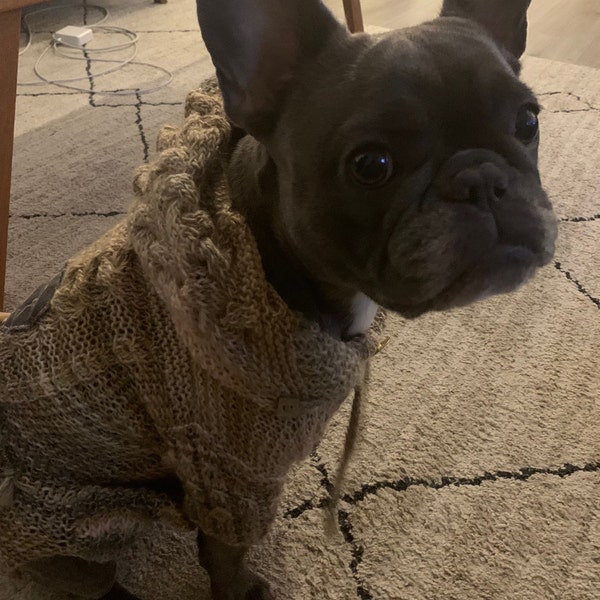 Verwunderlich Pullover Französische Bulldogge Fotos