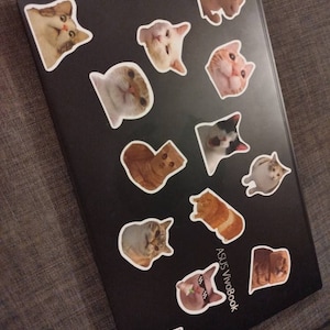 Capucine added a photo of their purchase