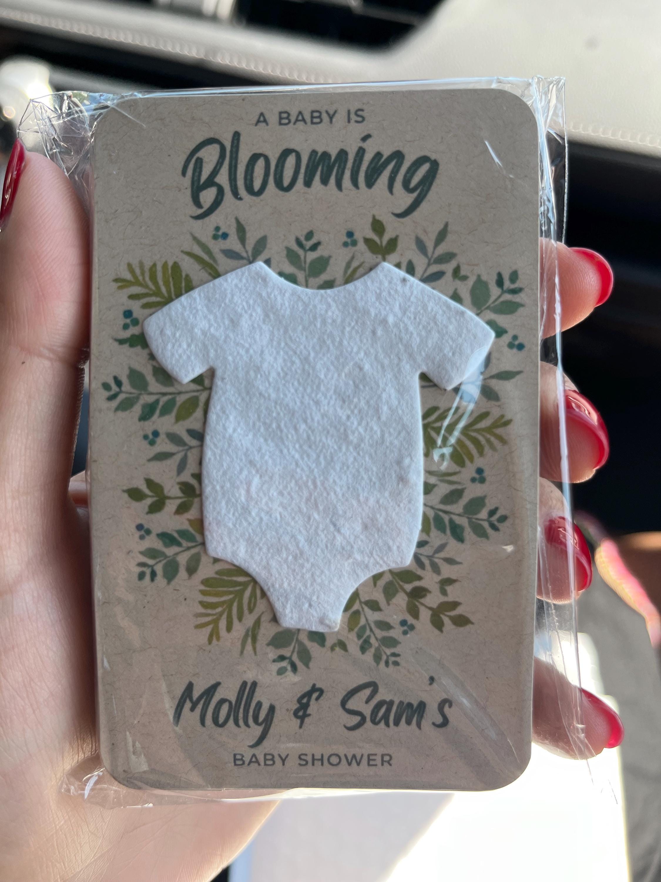 Baby In Bloom Baby Shower Favors For Guests - Wildflower Seed Packets Alternative - Good For Goodie Bags or Prizes