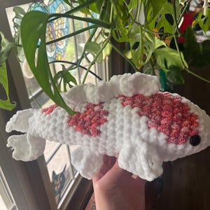 Jenny added a photo of their purchase