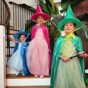 sachin and babi light blue dress Disney Inspired, Sleeping Beauty Costume Adult, Aurora Dress Change Color,  Aurora Adult Costume, Pink/blue Sleeping Beauty, main image 1