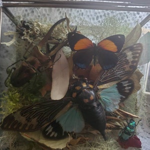 Ashley added a photo of their purchase