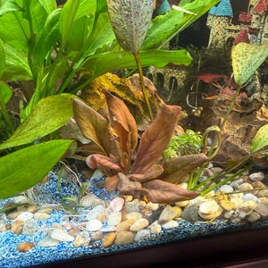 Freeman adicionaram uma foto da sua compra