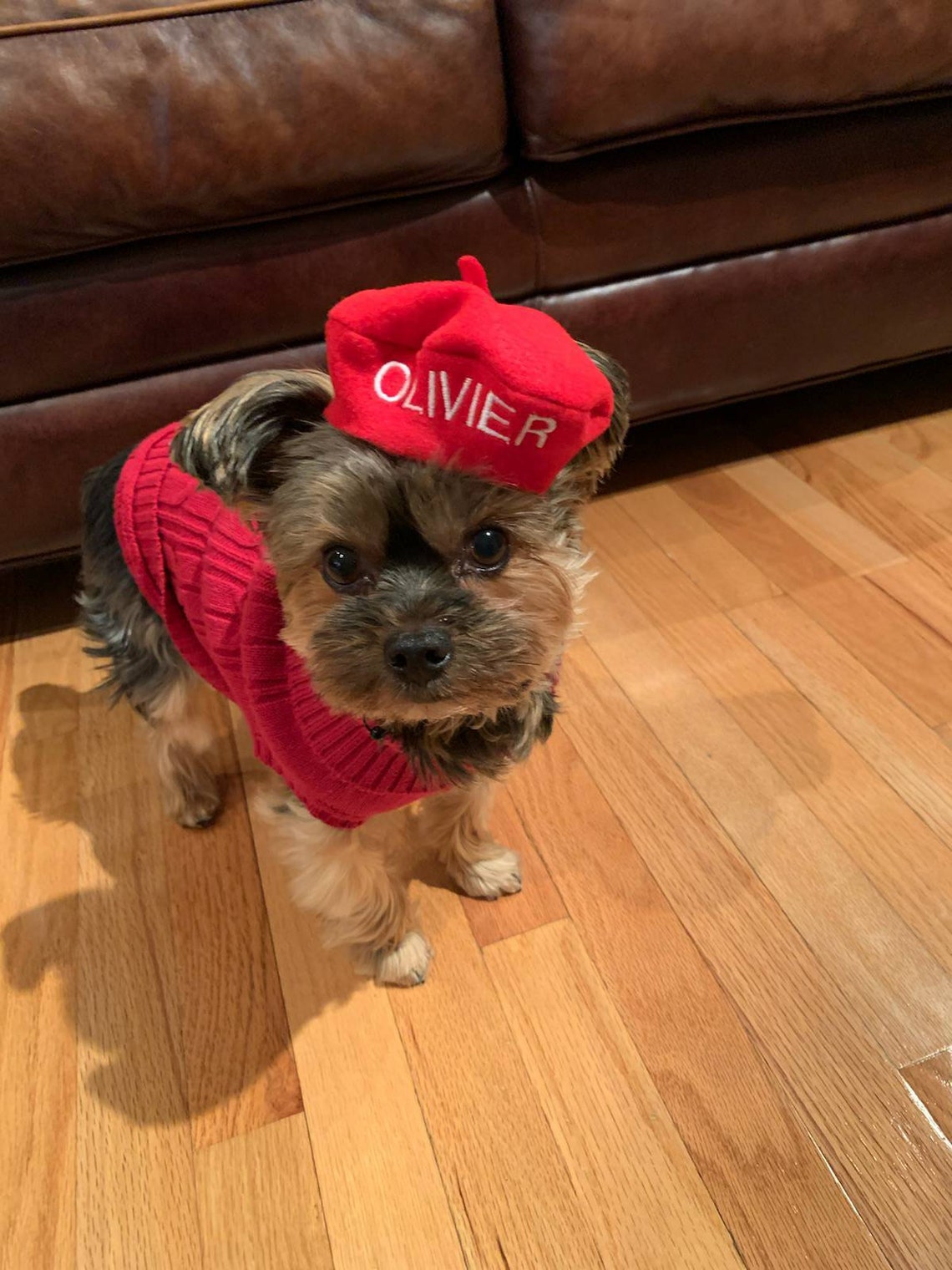 Customer photo of a pet with the Beret Personalized for small pet Raspberry