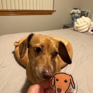 jenny added a photo of their purchase