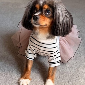Kimberly ha aggiunto una foto del proprio acquisto