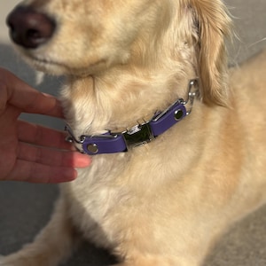 Sadie added a photo of their purchase