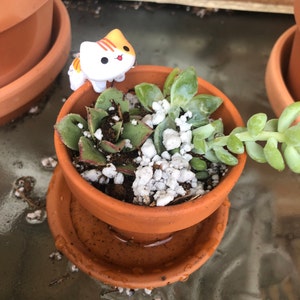 Beth added a photo of their purchase