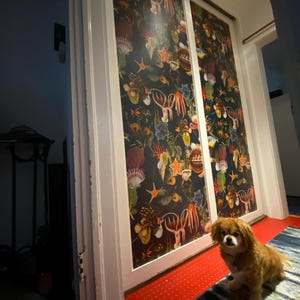 The さんが購入した商品の写真を追加しました