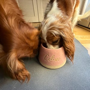 Patricia added a photo of their purchase