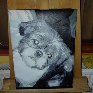 Stacey added a photo of their purchase