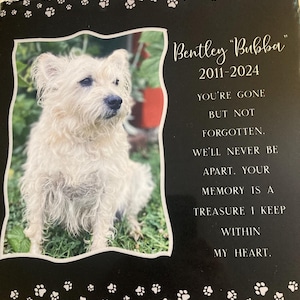Haley added a photo of their purchase