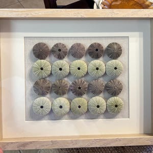 Amy added a photo of their purchase