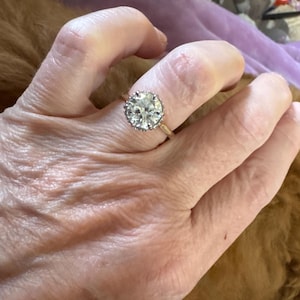 Shannon added a photo of their purchase