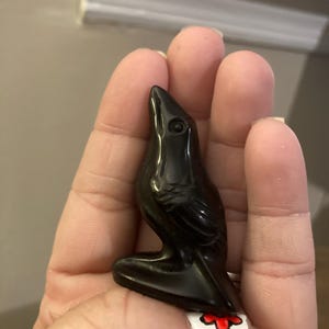 Apricity added a photo of their purchase