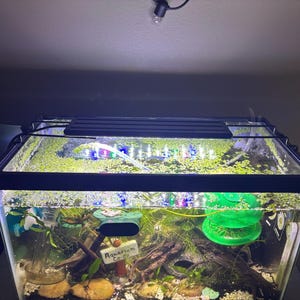 Izzy added a photo of their purchase