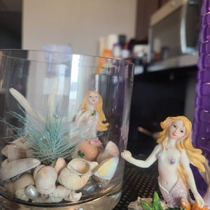 Kim added a photo of their purchase
