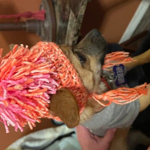 Tina added a photo of their purchase
