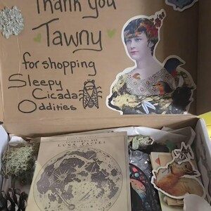 TawnyStardust added a photo of their purchase
