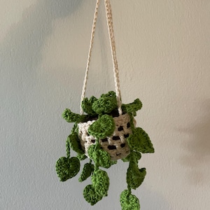 Melanie added a photo of their purchase