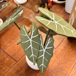 Lindsey added a photo of their purchase