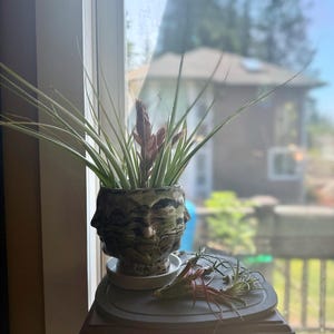 Tyler added a photo of their purchase