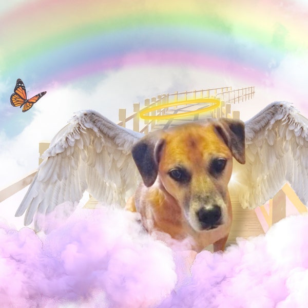 Custom Rainbow Bridge Pet Memorial Photo - Etsy