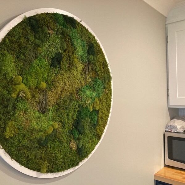 Custom Moss Frames in a Circle Shape | Moss Art | Moss Decor ...