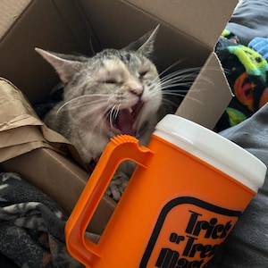 Sarah a ajouté une photo de son achat