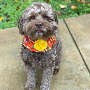 Dog Ruffle Collar Vintage Floral on Teal Dog Scrunchie - Etsy