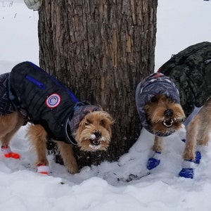 mountain ridge dog booties
