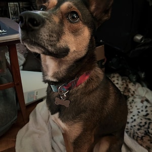 Bailey added a photo of their purchase