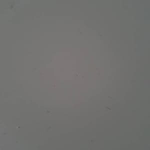 Gaynor hat ein Foto des gekauften Artikels hinzugefügt