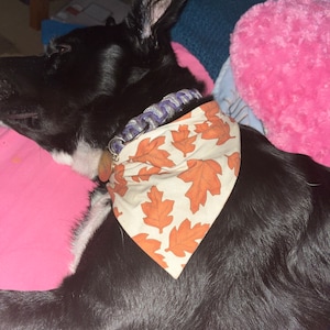 Isabelle added a photo of their purchase