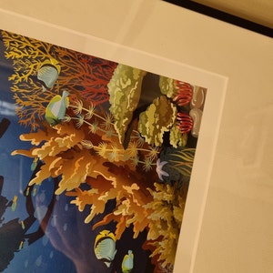 Anders ha añadido una foto de su compra