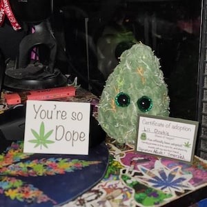 xan added a photo of their purchase