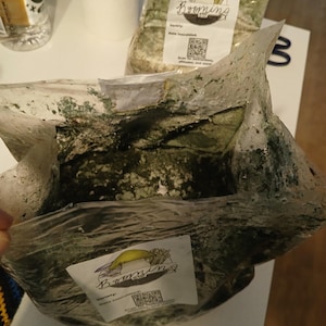 The Magical 5lb All-In-One Mushroom Grow Bag