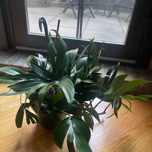 Mari added a photo of their purchase